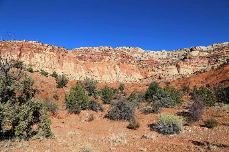 Utah--Capitol Reef National Park (123).JPG