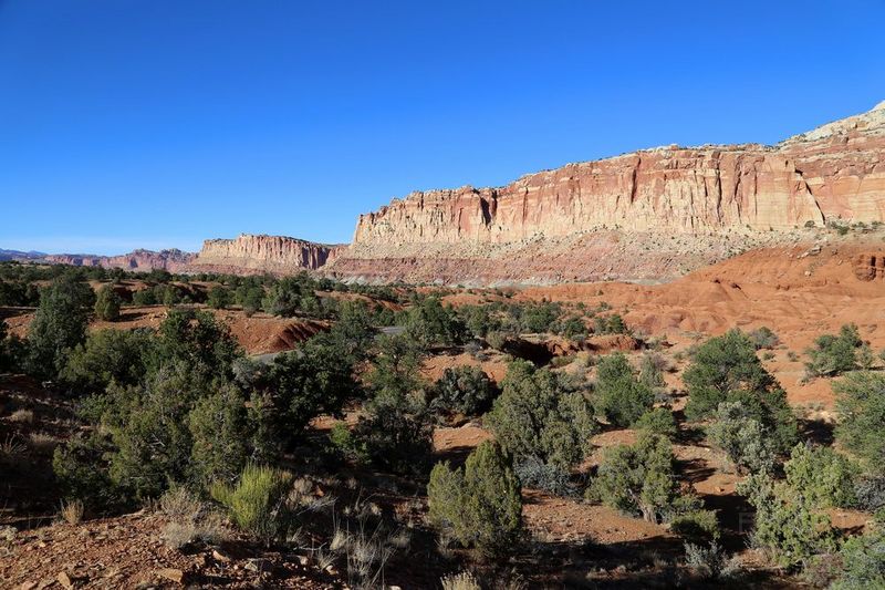 Utah--Capitol Reef National Park (141).JPG