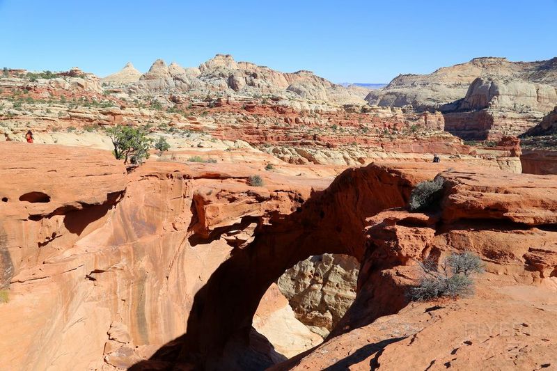 Utah--Capitol Reef National Park (82).JPG