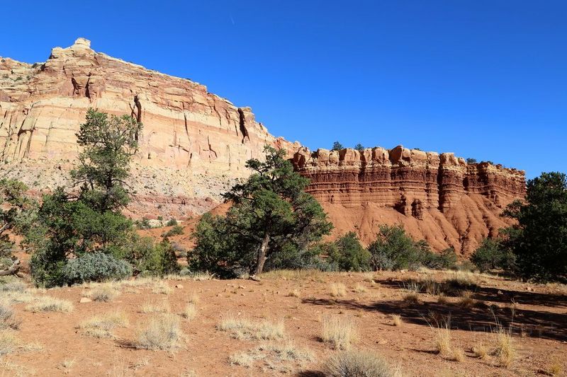 Utah--Capitol Reef National Park (133).JPG