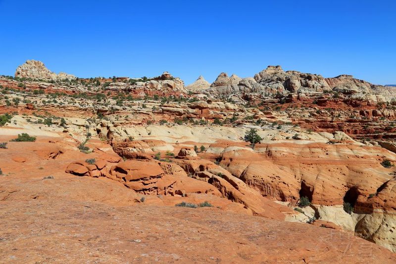 Utah--Capitol Reef National Park (73).JPG