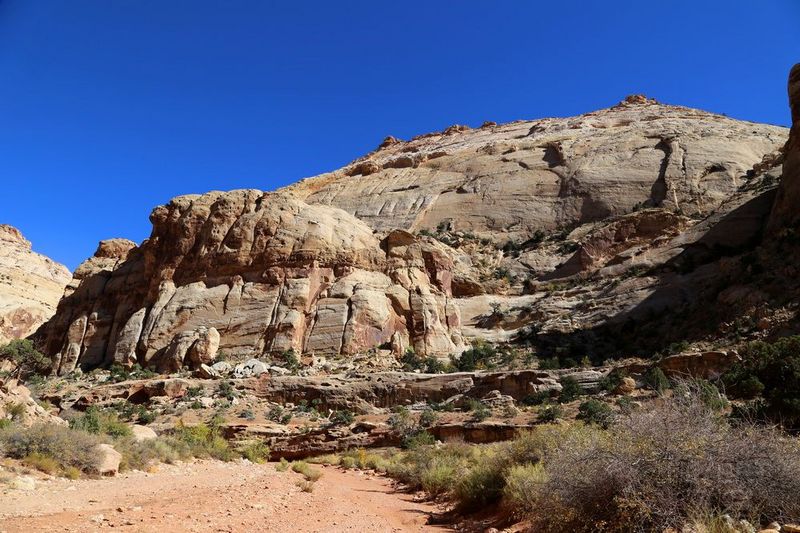 Utah--Capitol Reef National Park (94).JPG