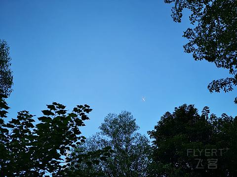 IMG_20201107_144225.jpg