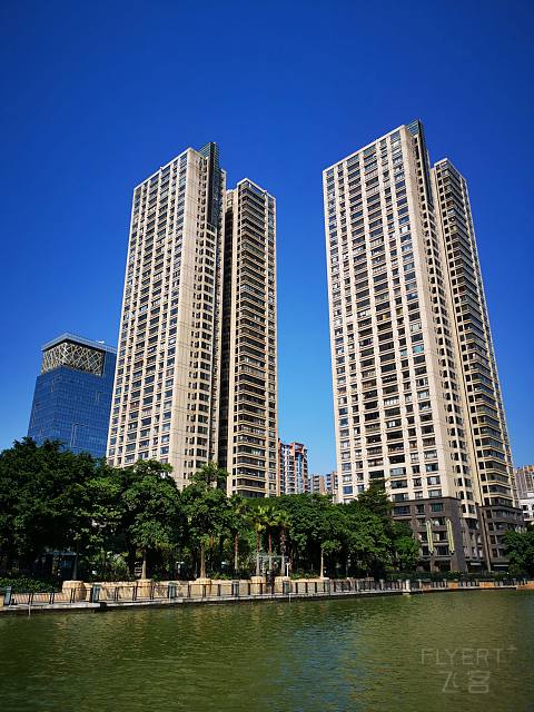 IMG_20201108_105342.jpg