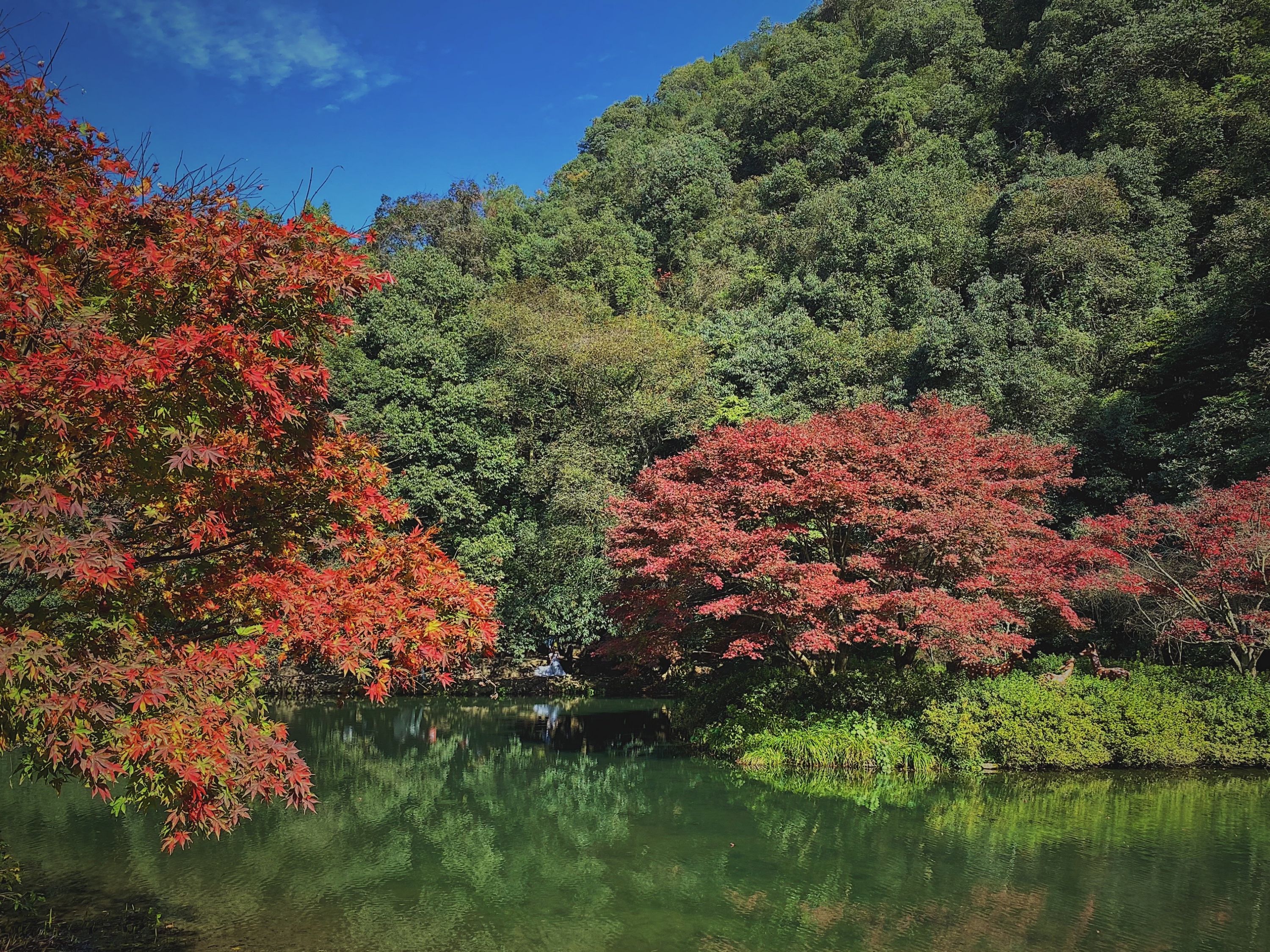 ̽լۡݰþƵ Park Hyatt Hangzhou ෿ס