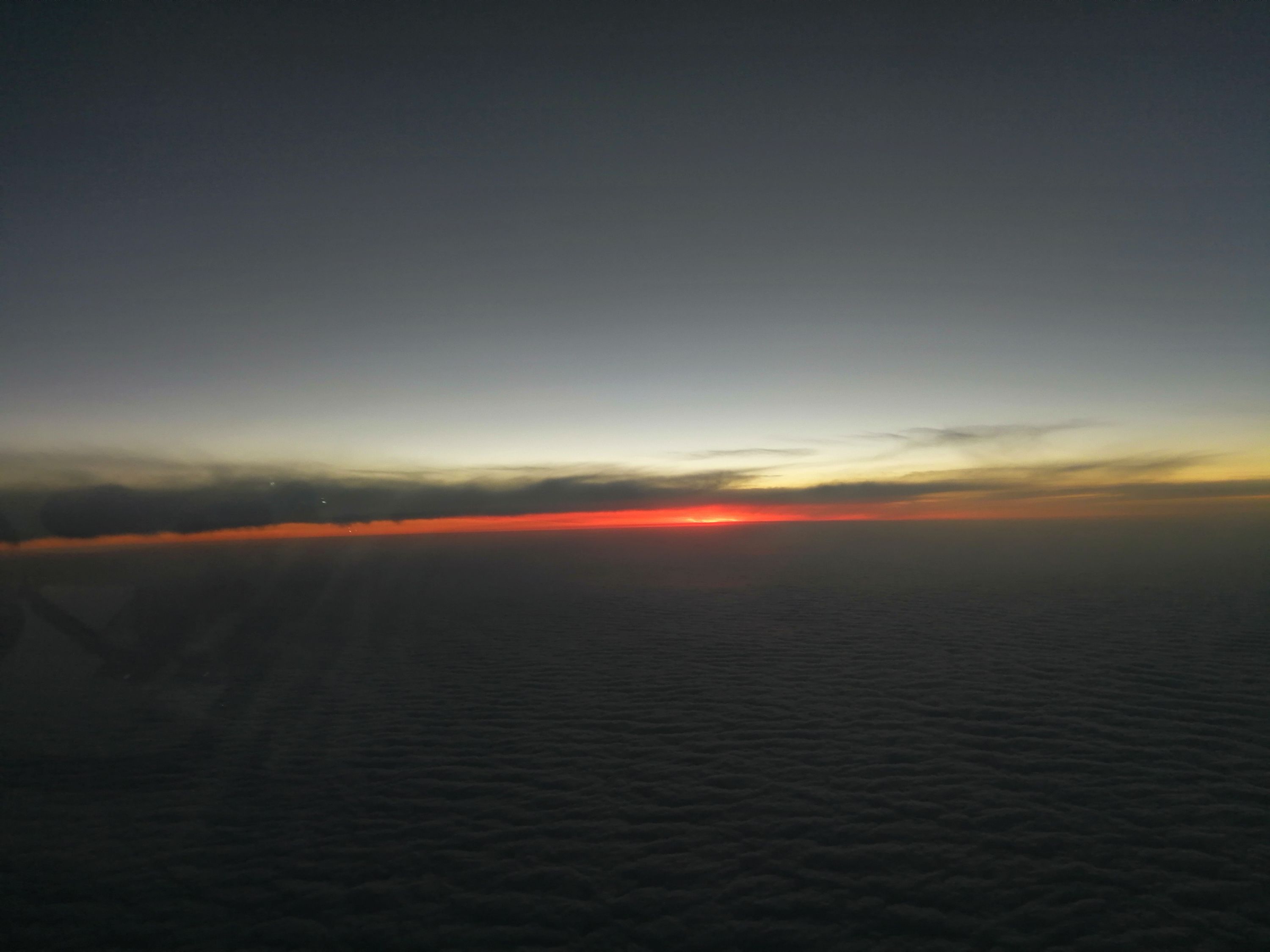 HOտsay goodbye#HO1136 TSN-PVG#HO1245 PVG-CKG#inһб