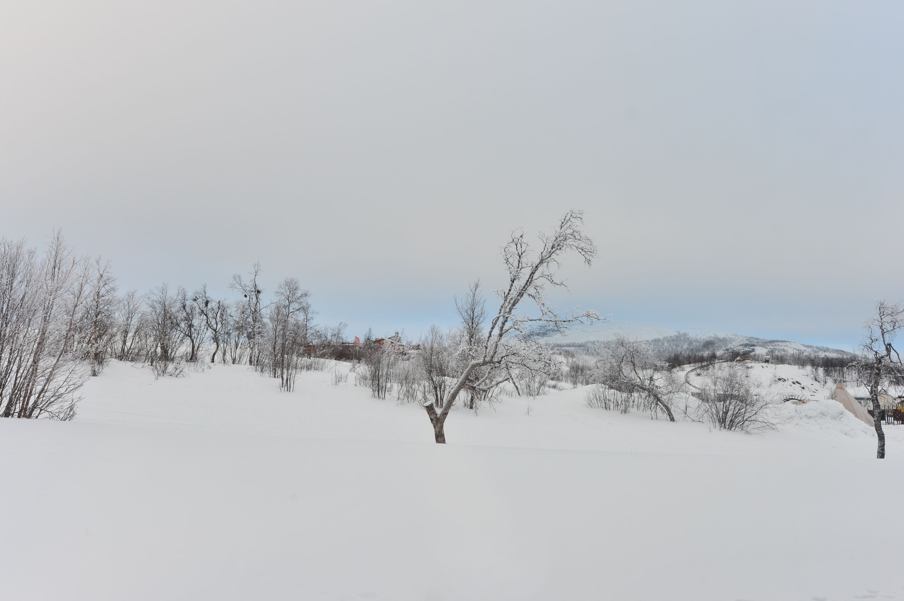 ѩľݡKIRUNA camp ripan