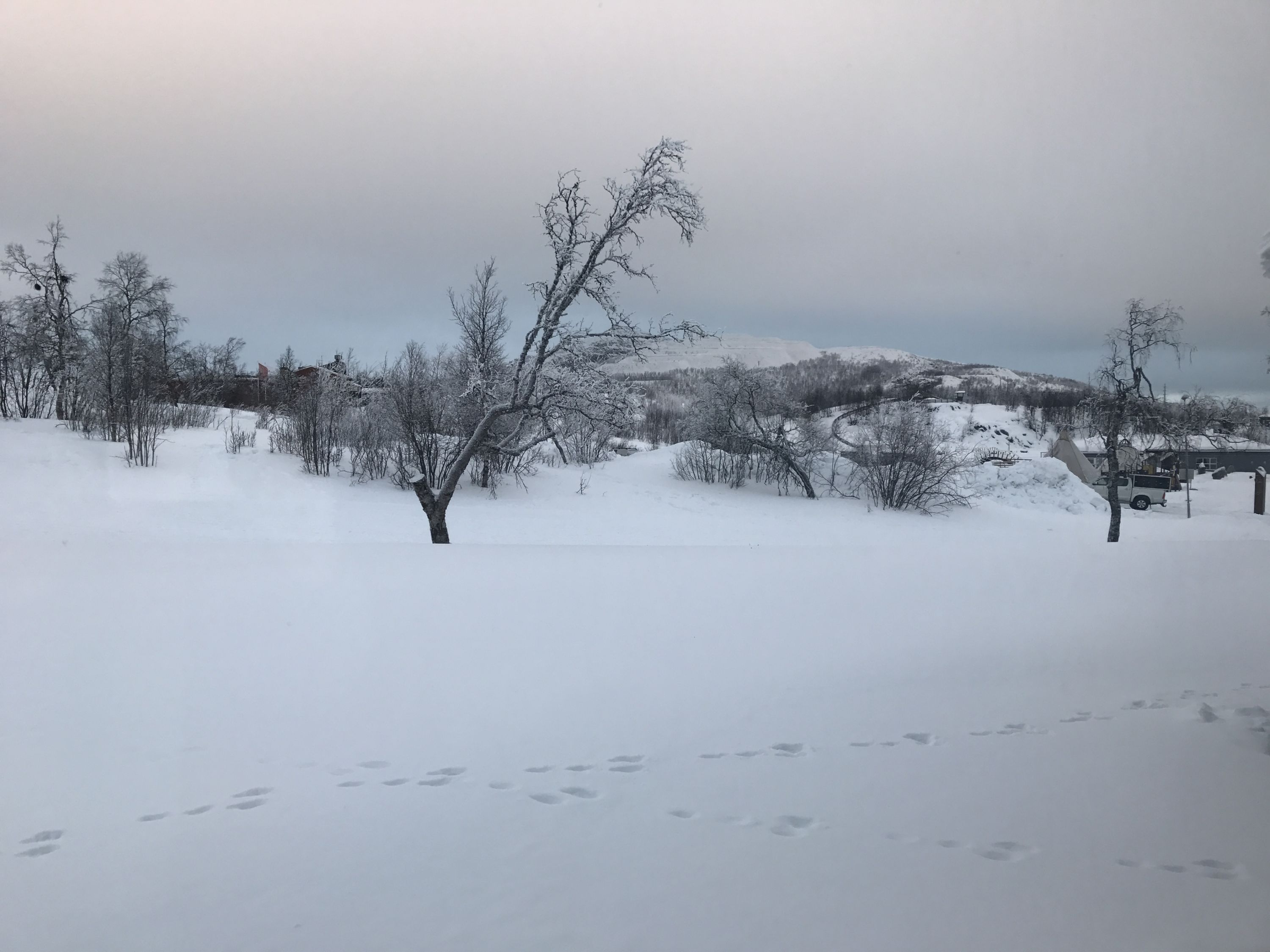 ѩľݡKIRUNA camp ripan