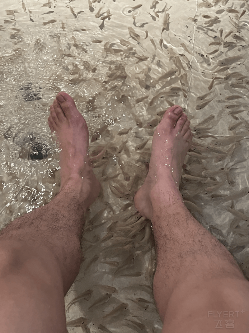 WX20201218-144247@2x.png