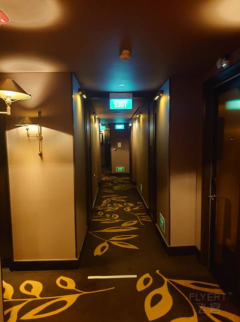 DSC_2111.JPG DSC_2111.JPG