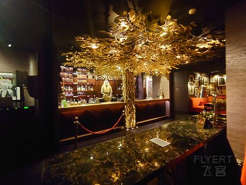 DSC_2147.JPG DSC_2147.JPG