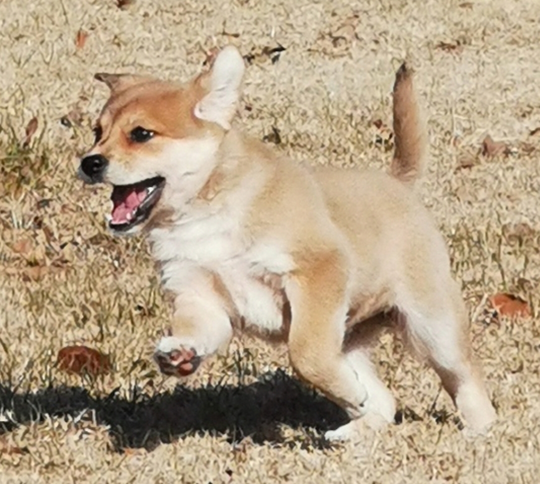 ϺˮʹڼվƵĩ޺ȥ