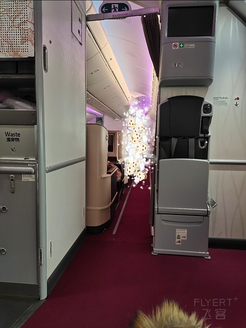 IMG_20210101_103047.jpg