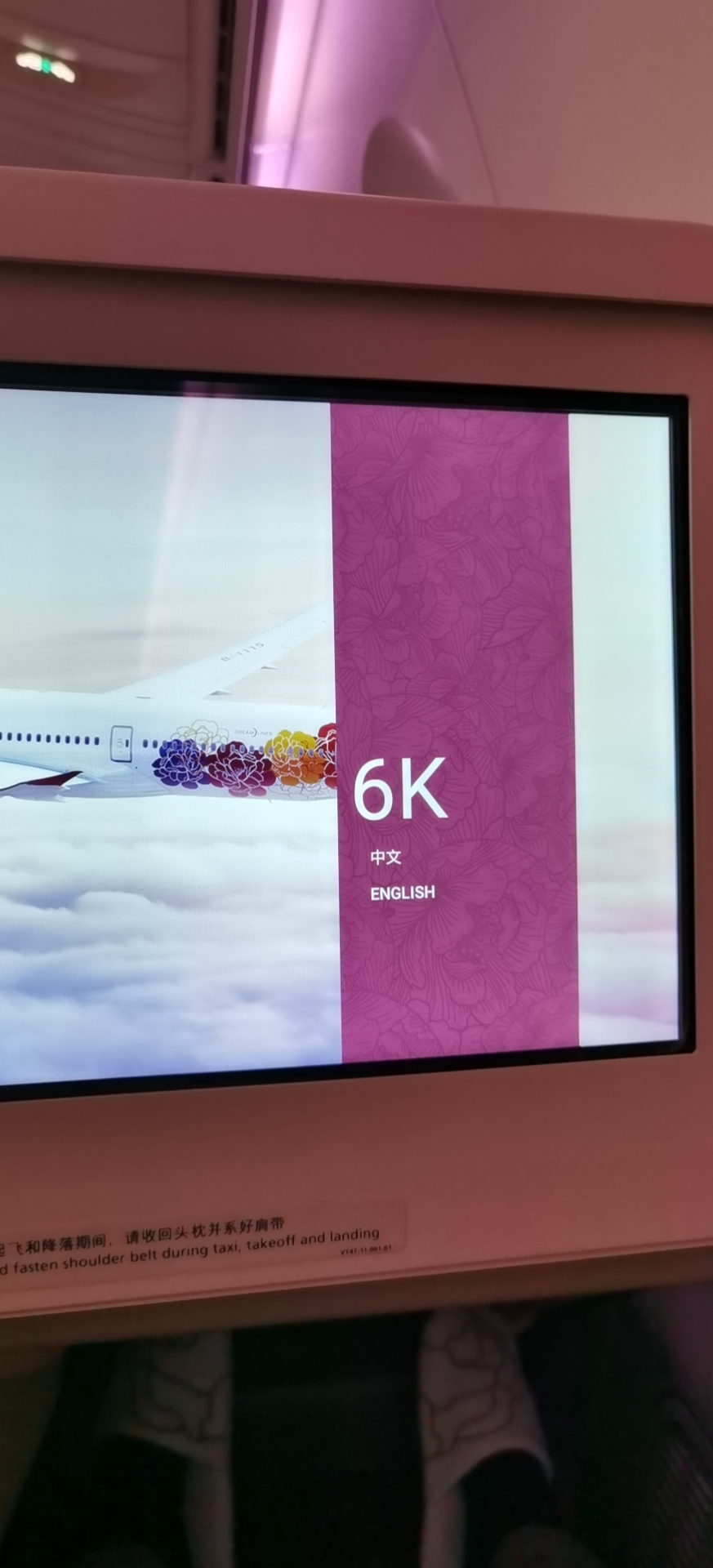 2021׷ɼ麽787-9ͻ