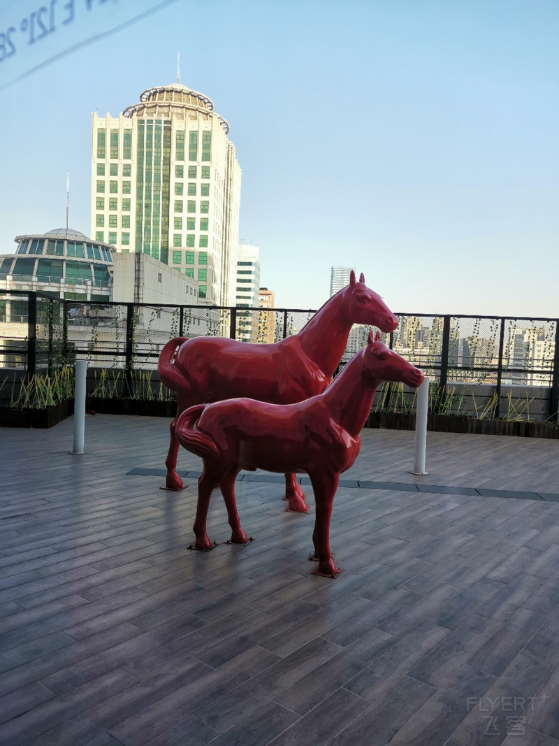 IMG_20210113_080618.jpg
