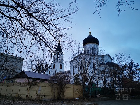 IMG_20201212_161739.jpg