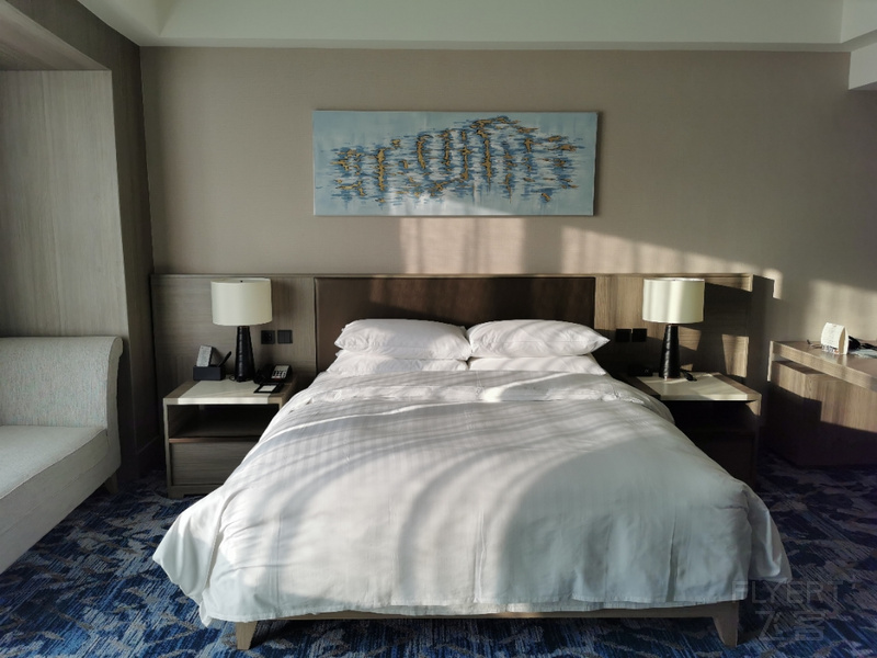 IMG_20201205_170026.jpg