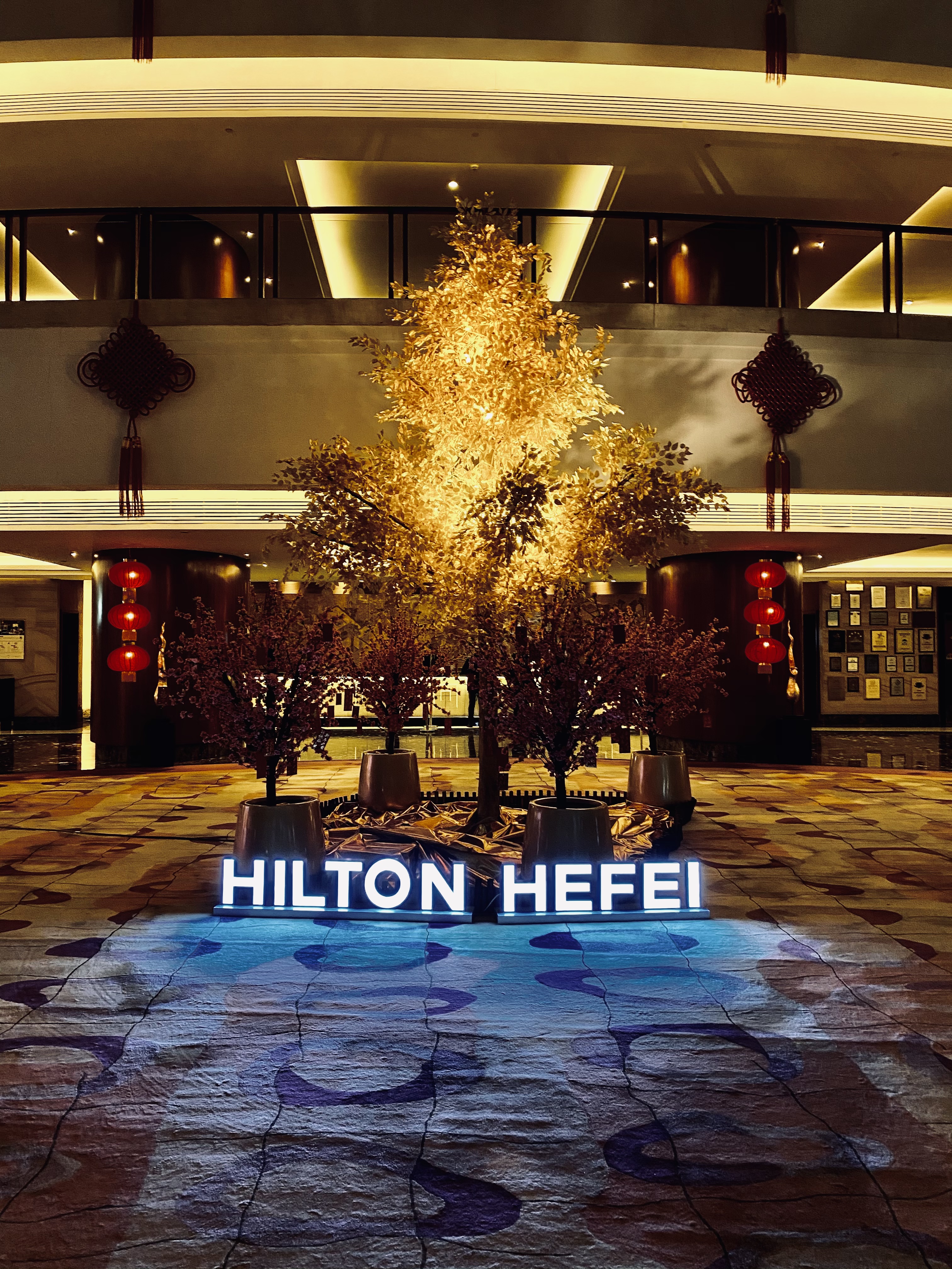 𿨵ڶף氮ˣϷԪһϣپƵ ס Hilton Hefei