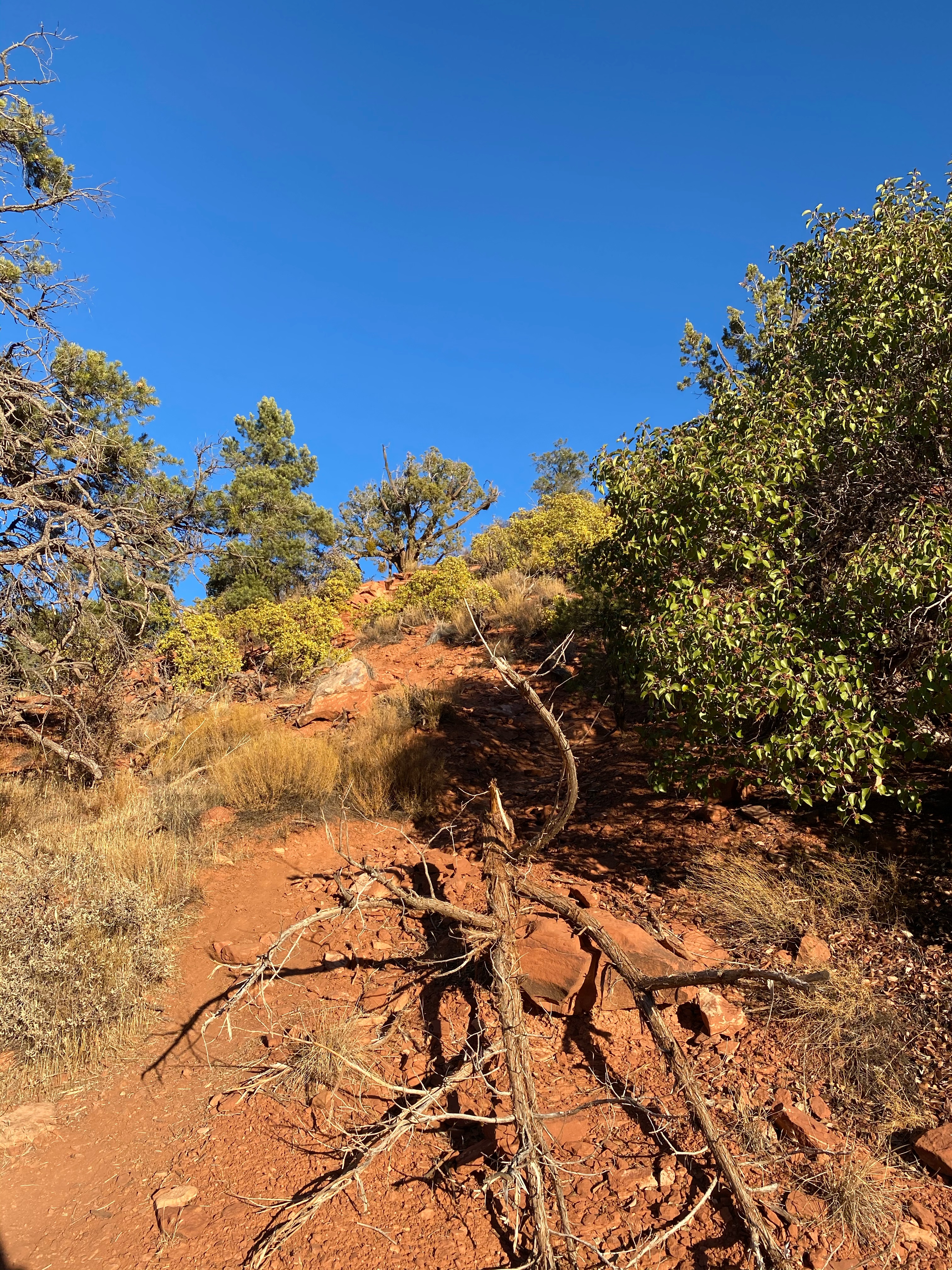 ̳׷ | ůʯϿ Hyatt Residence Club Sedona, Piñon Pointe