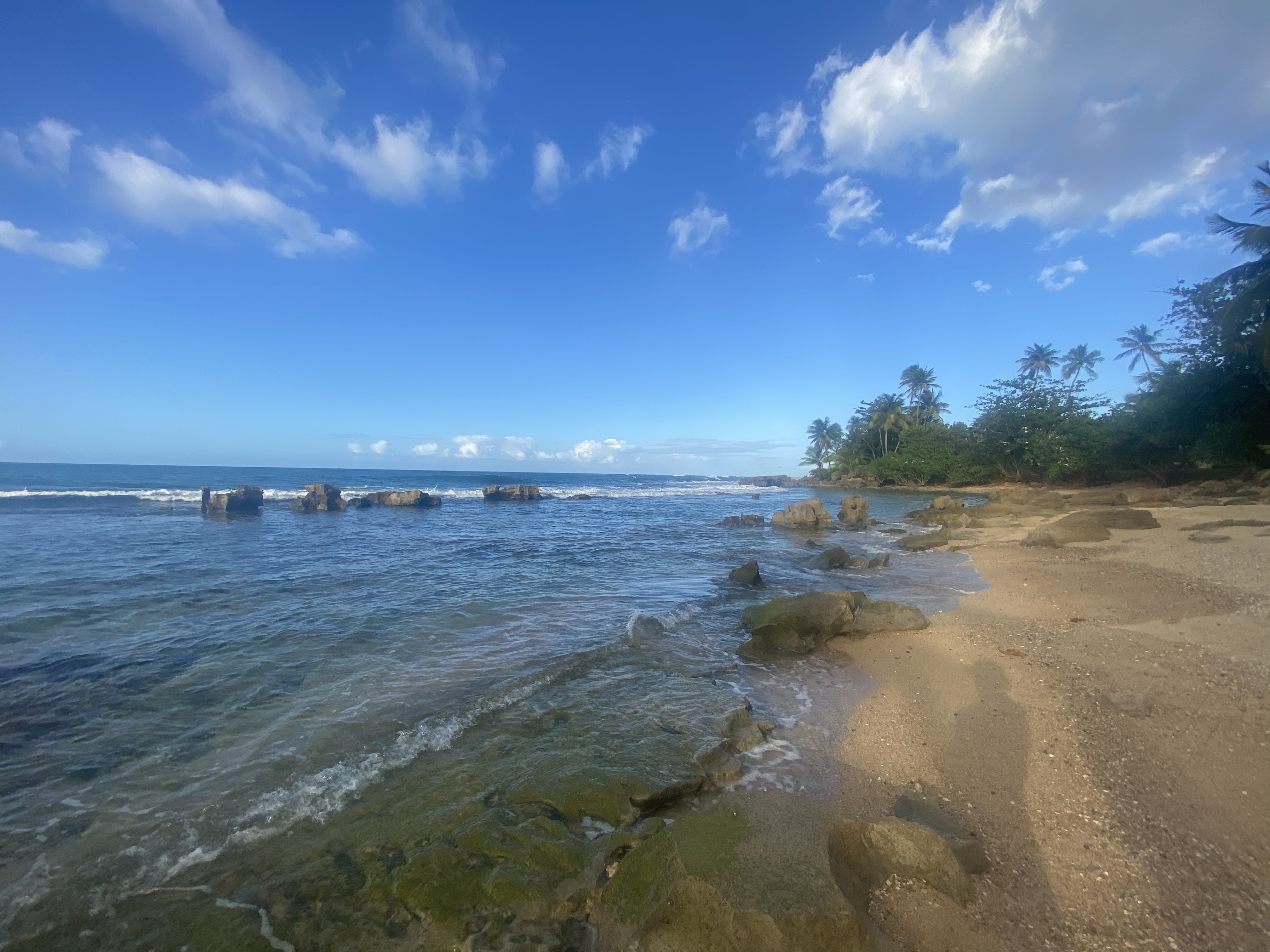  ˼
Dorado Beach A Ritz Carlton Reserve ȼĿĵ