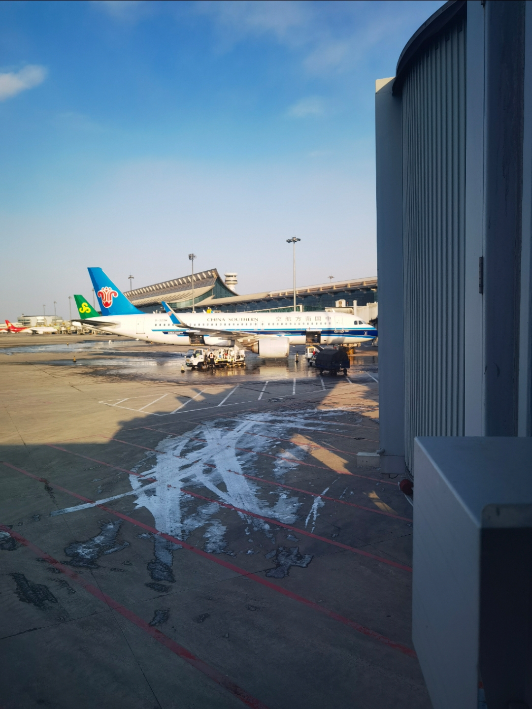 Ƕݵ - ZH9604 -ڻ