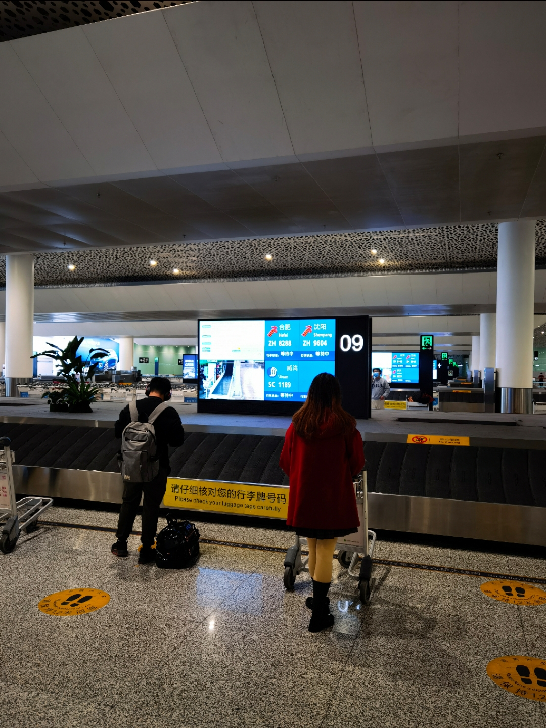 Ƕݵ - ZH9604 -ڻ