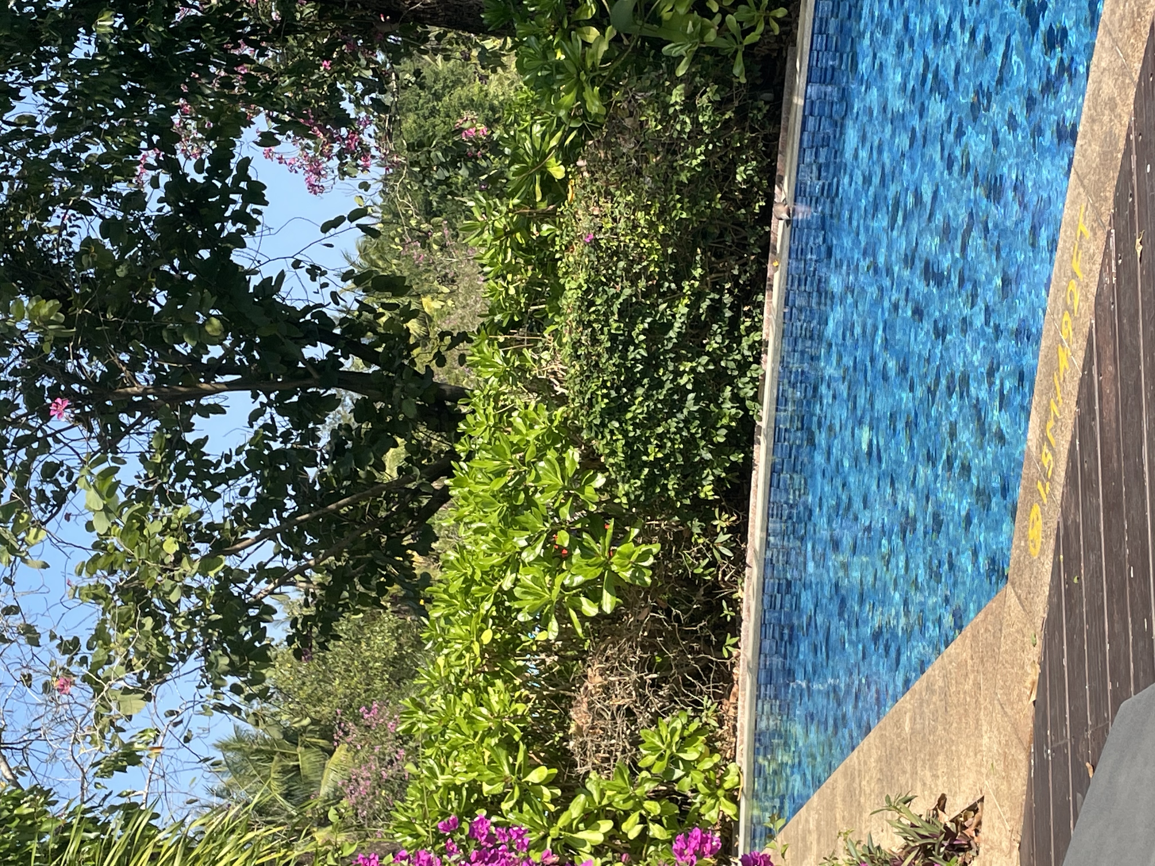 ϲǲΰ췿޼