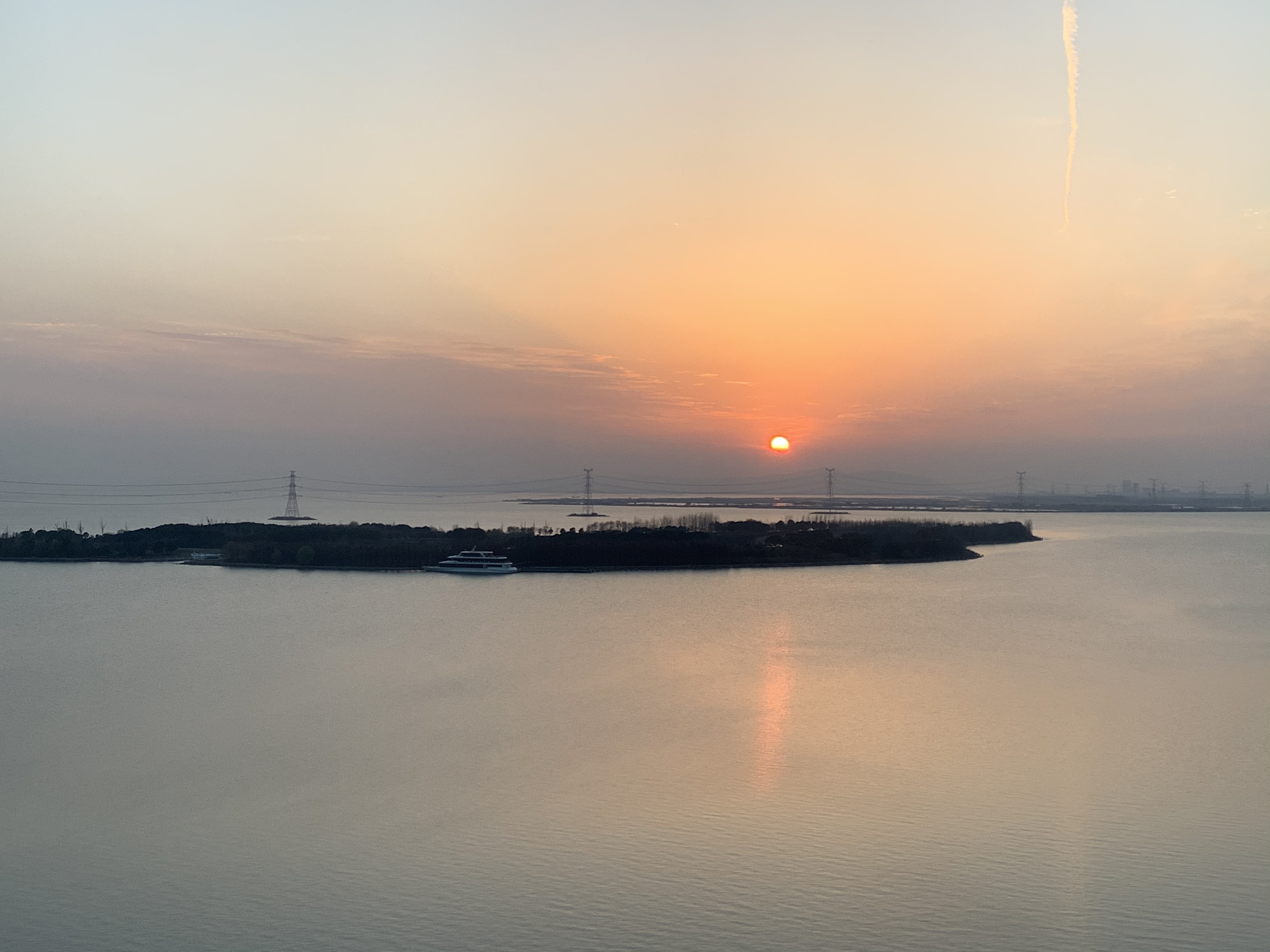尬
