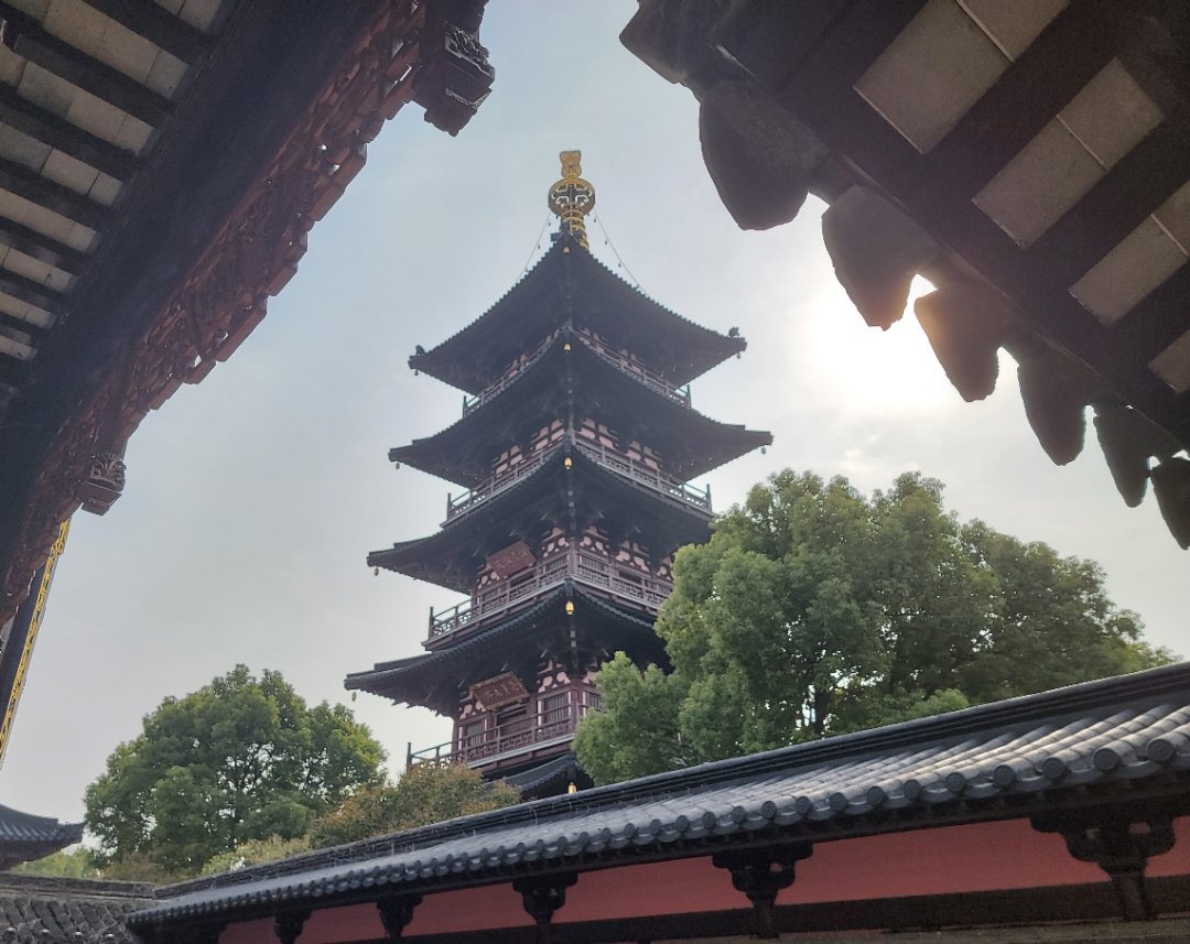 鲻W