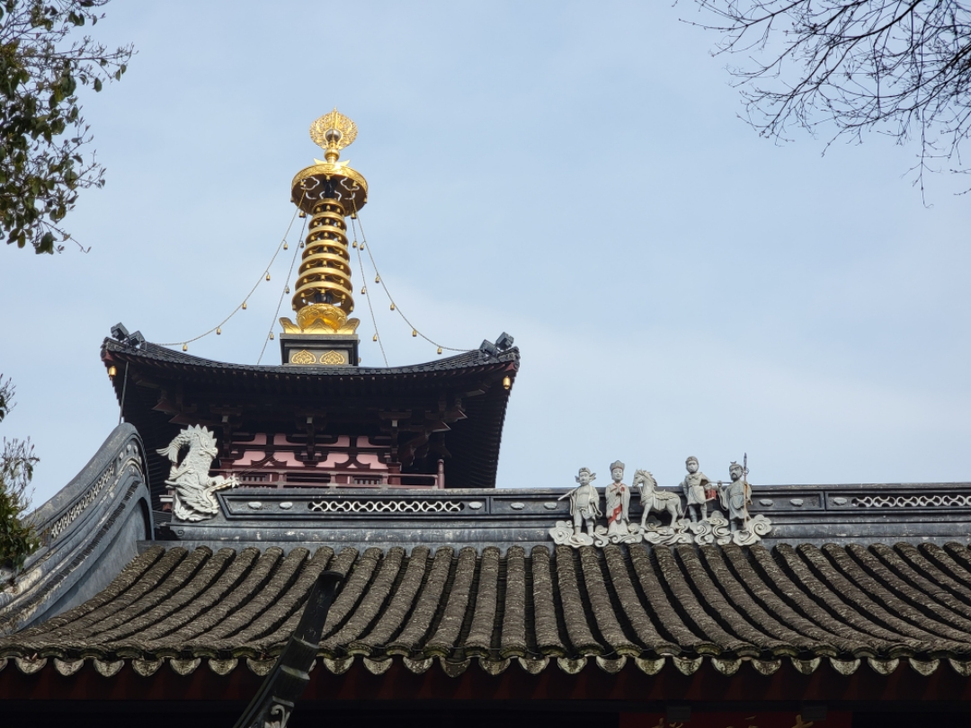 鲻W
