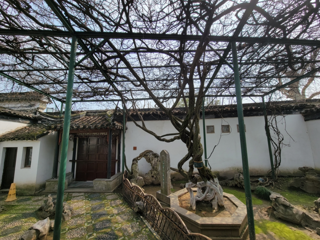 鲻W