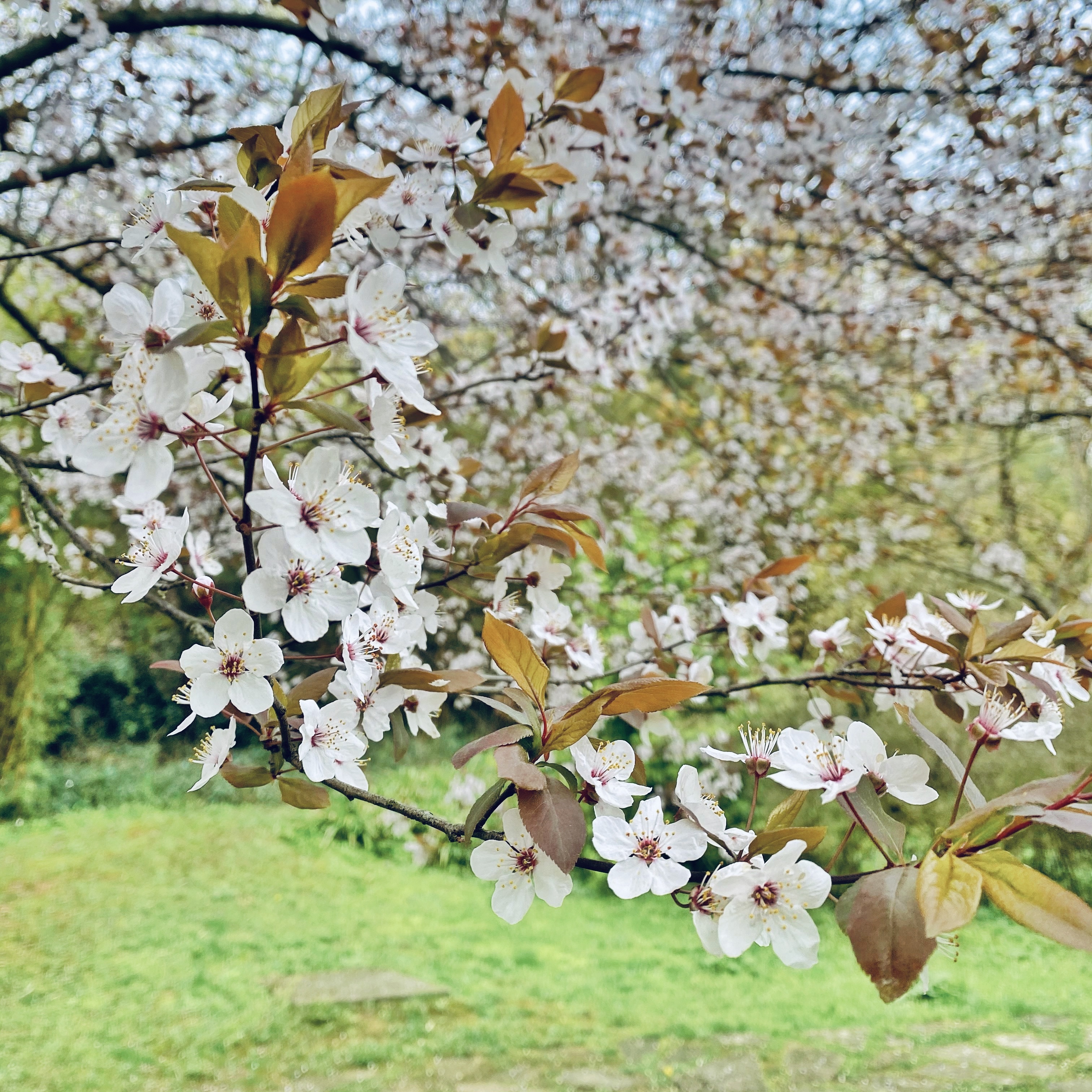 人¥¾дƬӣƵ