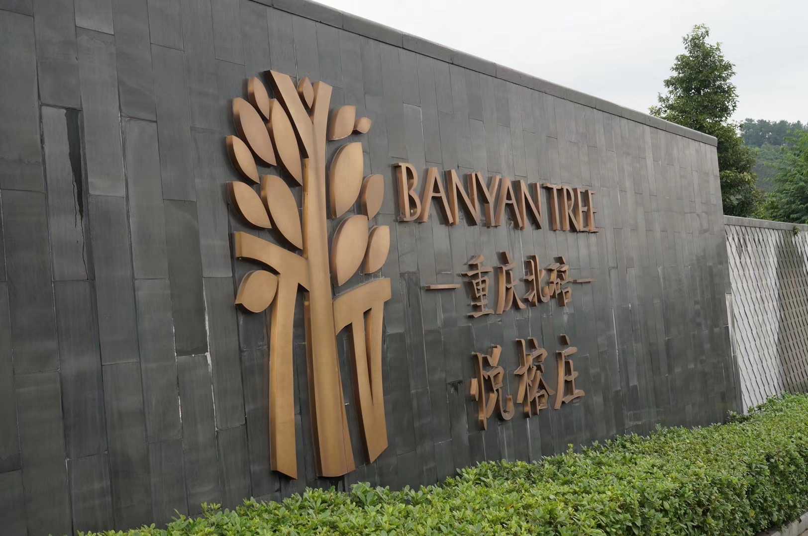  | ׯƵ Banyan Tree Chongqing