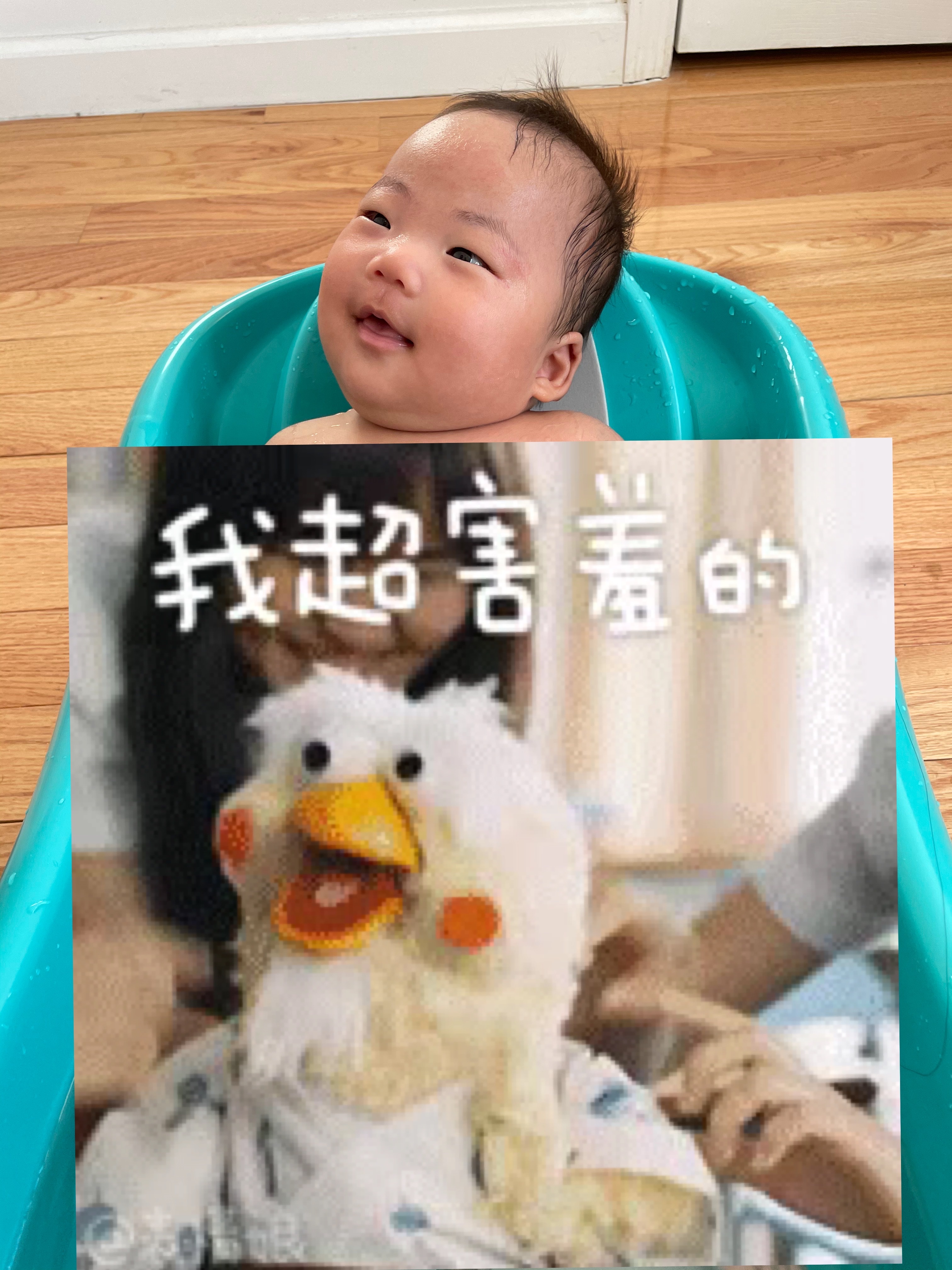 ʱһ룬һˡMU588 JFK-PVG ڼ湫շб