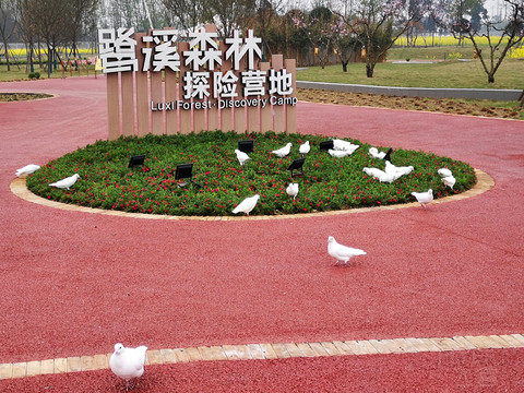 1617440dzdXoADzMBBzrjl.jpg 1617440dzdXoADzMBBzrjl.jpg