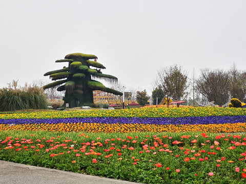 1617448b06pvicQVVVd3Jo.jpg 1617448b06pvicQVVVd3Jo.jpg