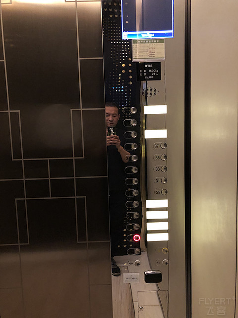 太湖华邑酒店 鼋头渚樱花之旅