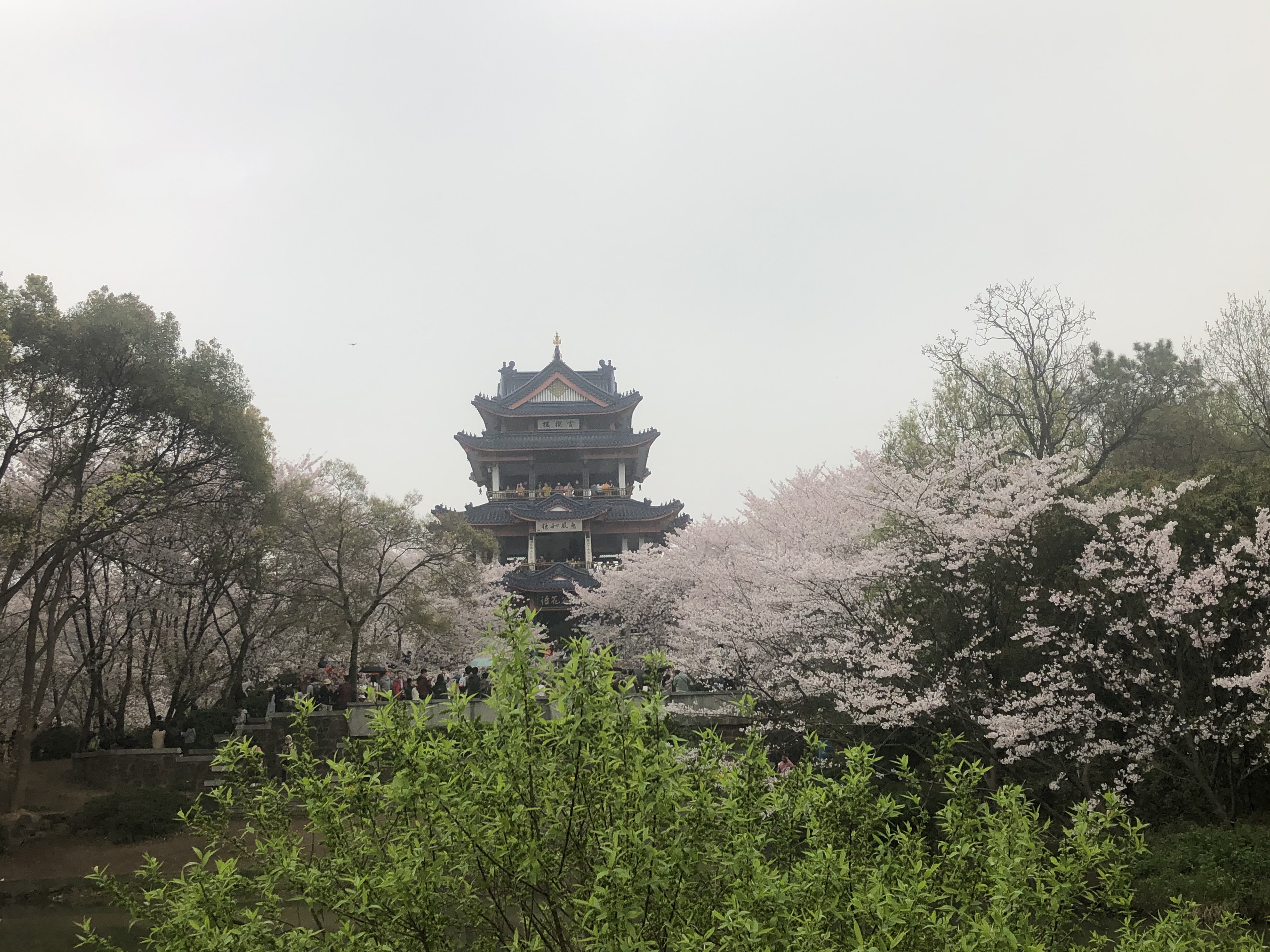 ̫ؾƵ ͷӣ֮