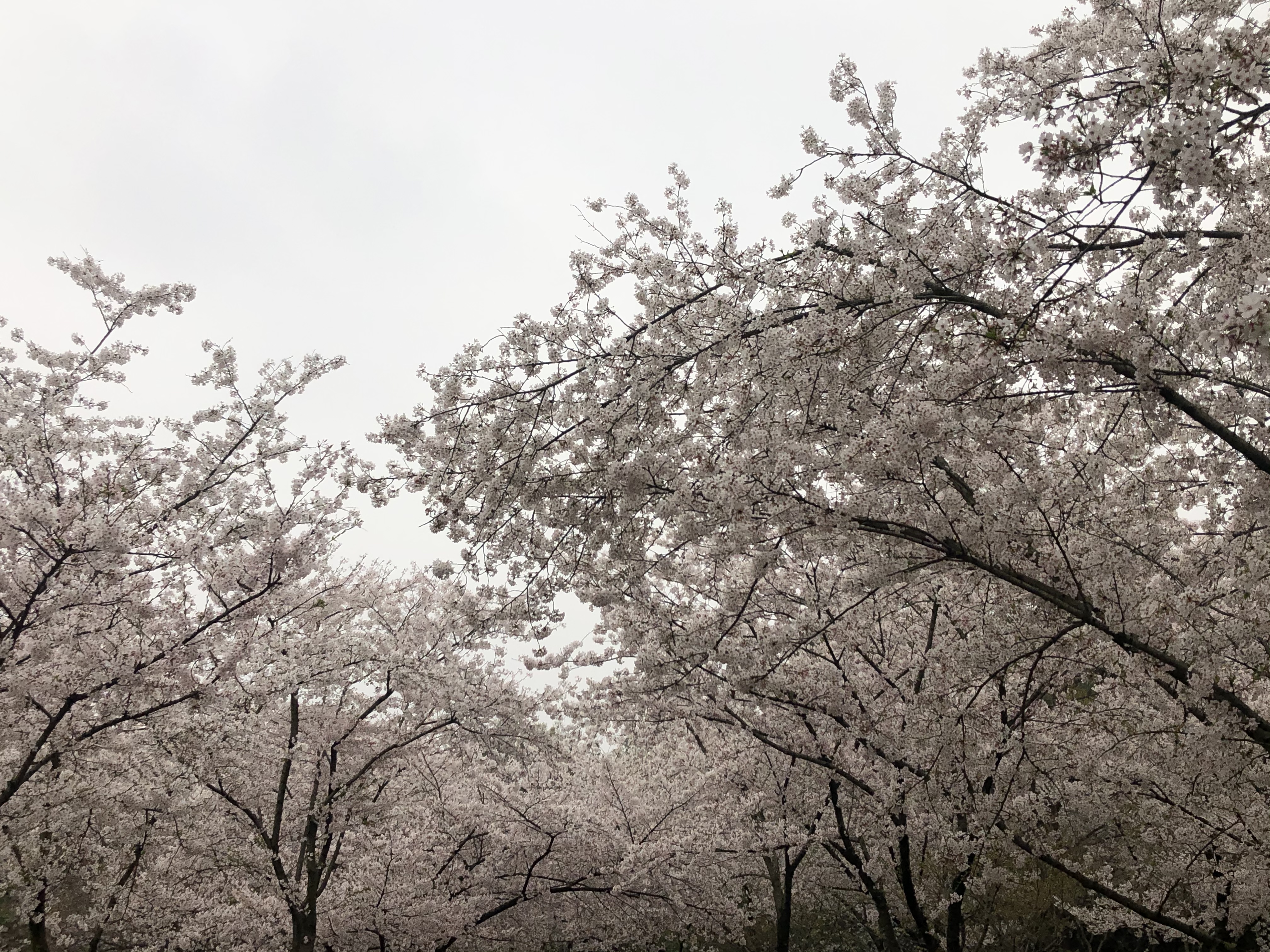 ̫ؾƵ ͷӣ֮
