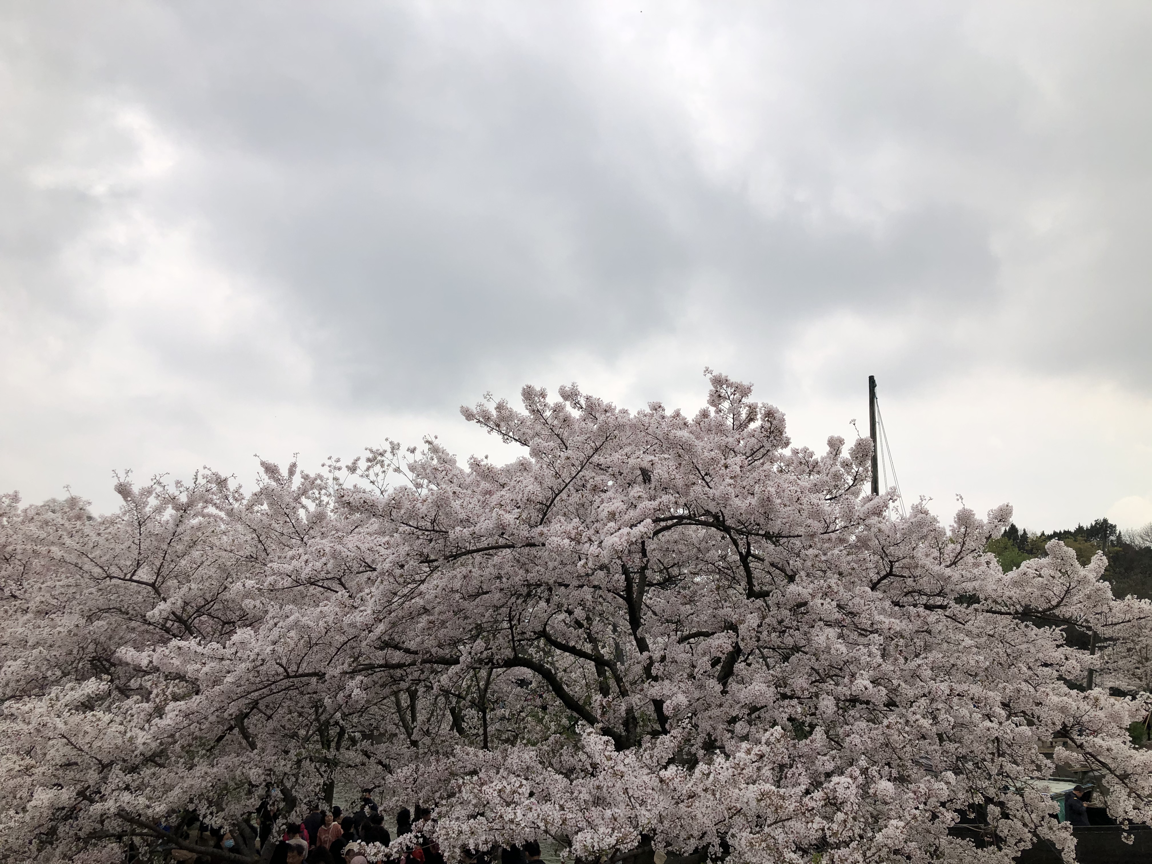 ̫ؾƵ ͷӣ֮