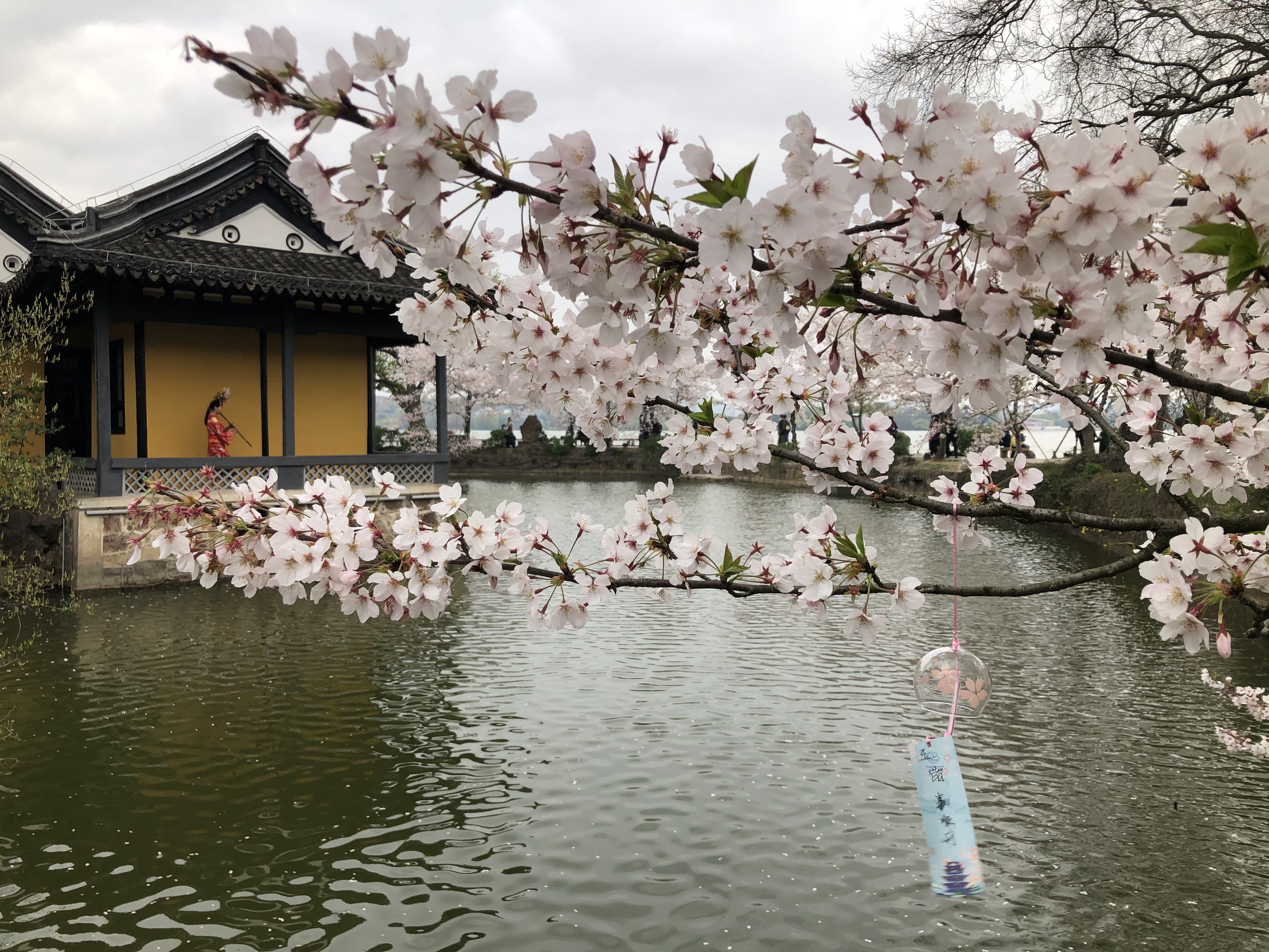 ̫ؾƵ ͷӣ֮