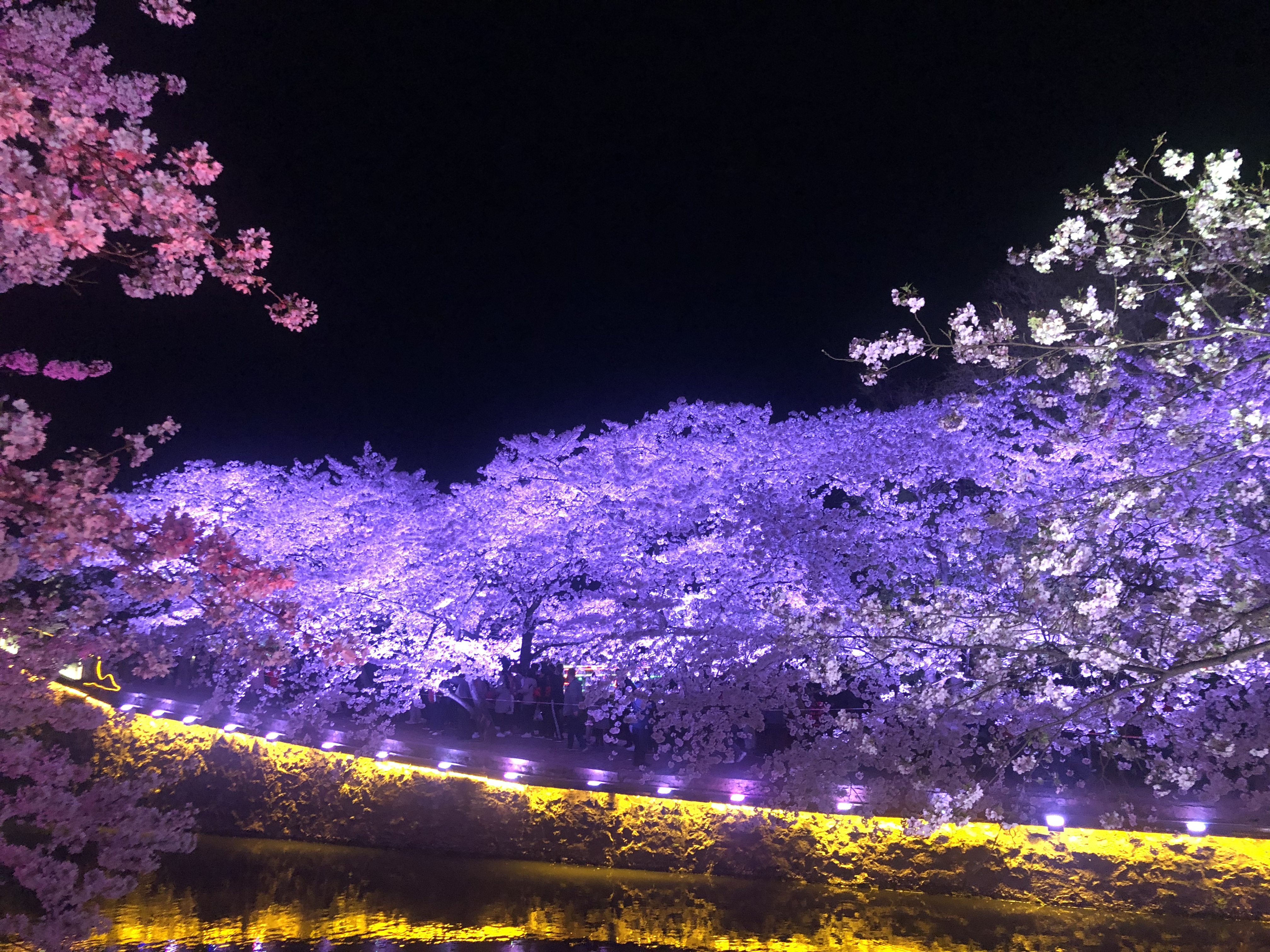 ̫ؾƵ ͷӣ֮