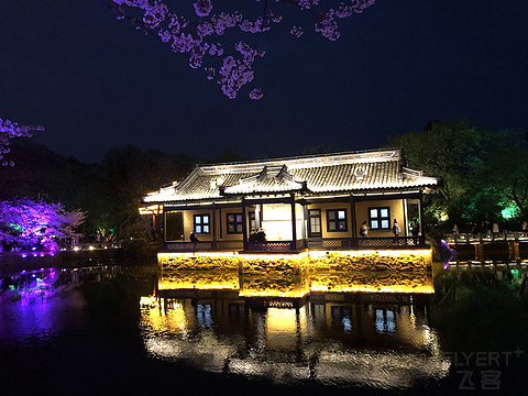 太湖华邑酒店 鼋头渚樱花之旅