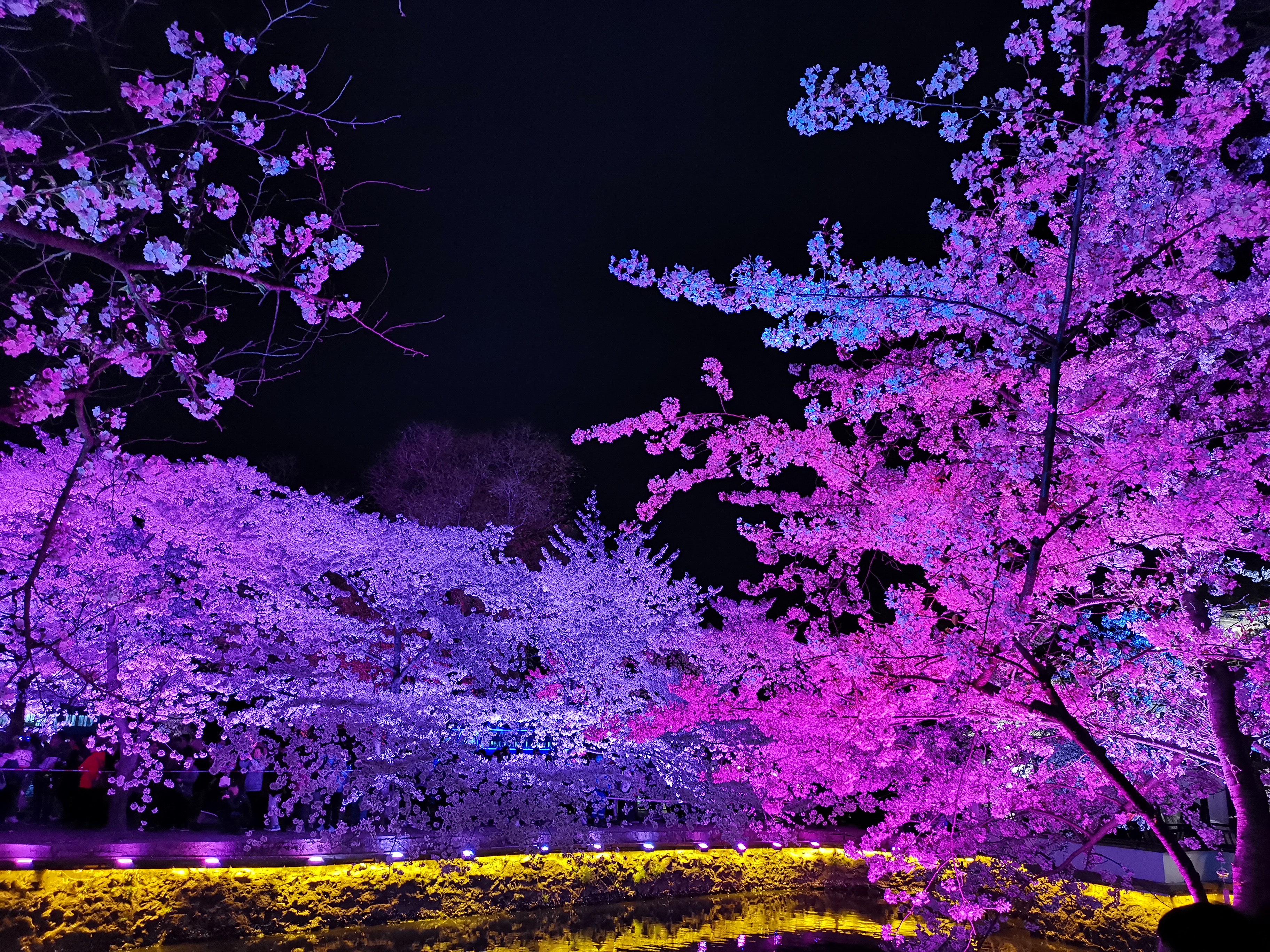 ̫ؾƵ ͷӣ֮