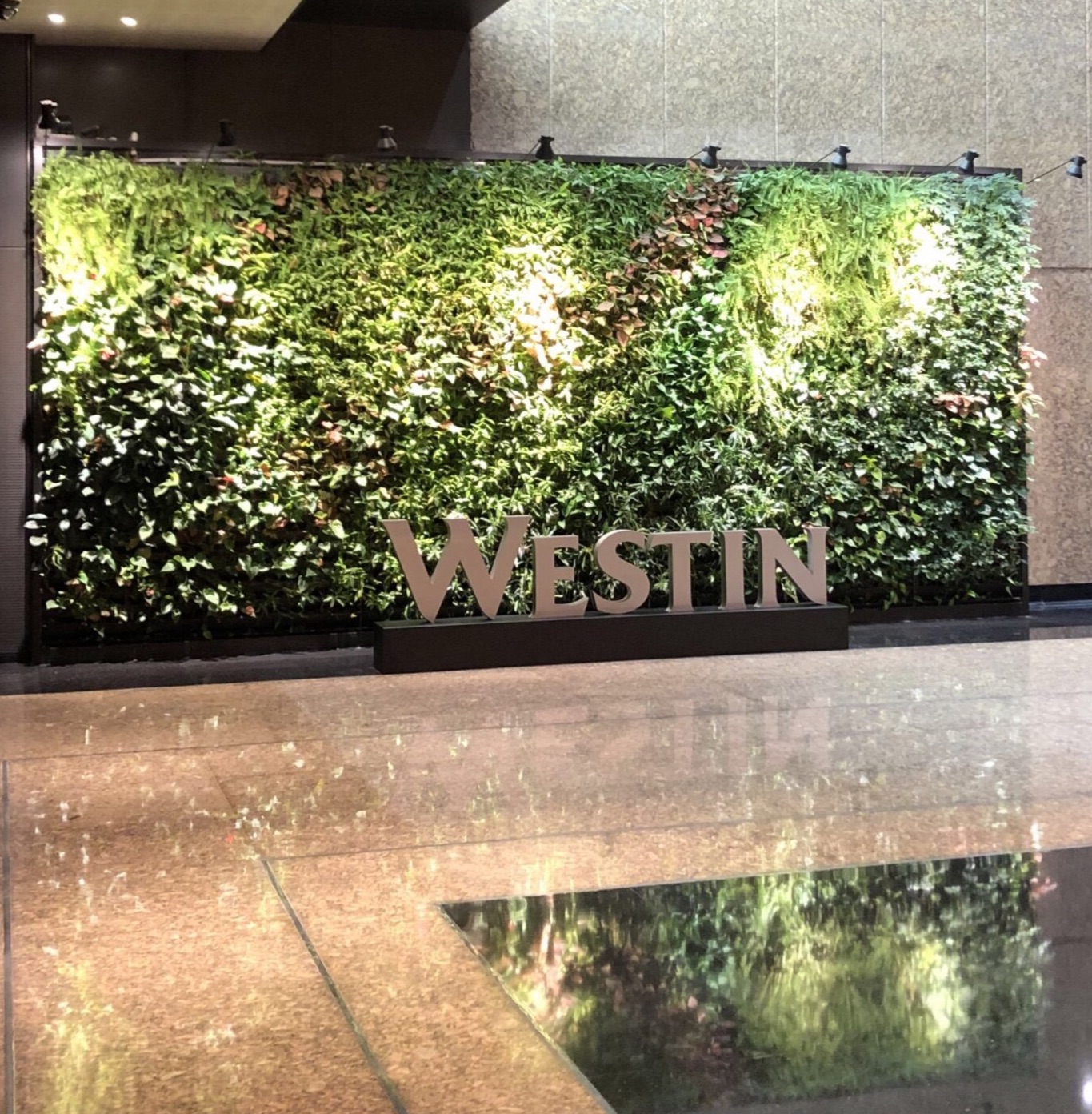 ƶϵ Westin Hotel ɽ˹͡Ƶ ׷
