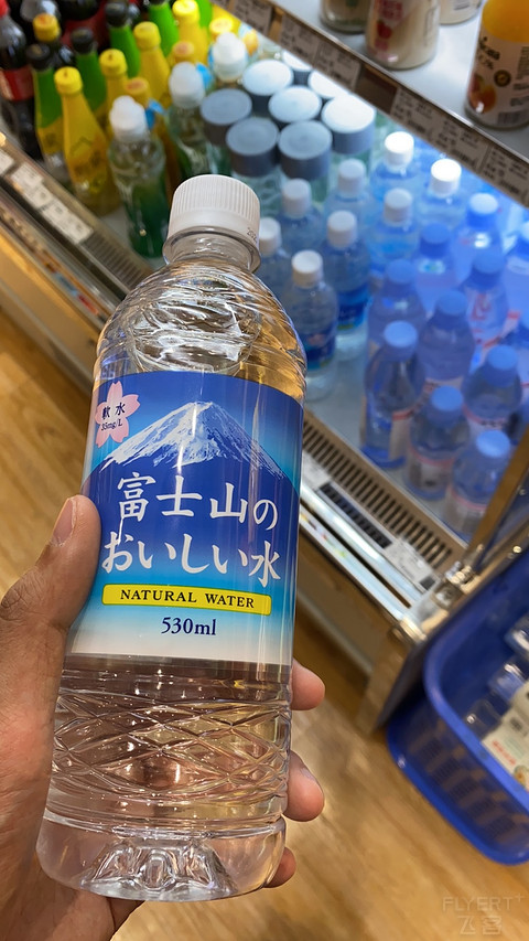 白流苏之行 春秋商务经济舱
