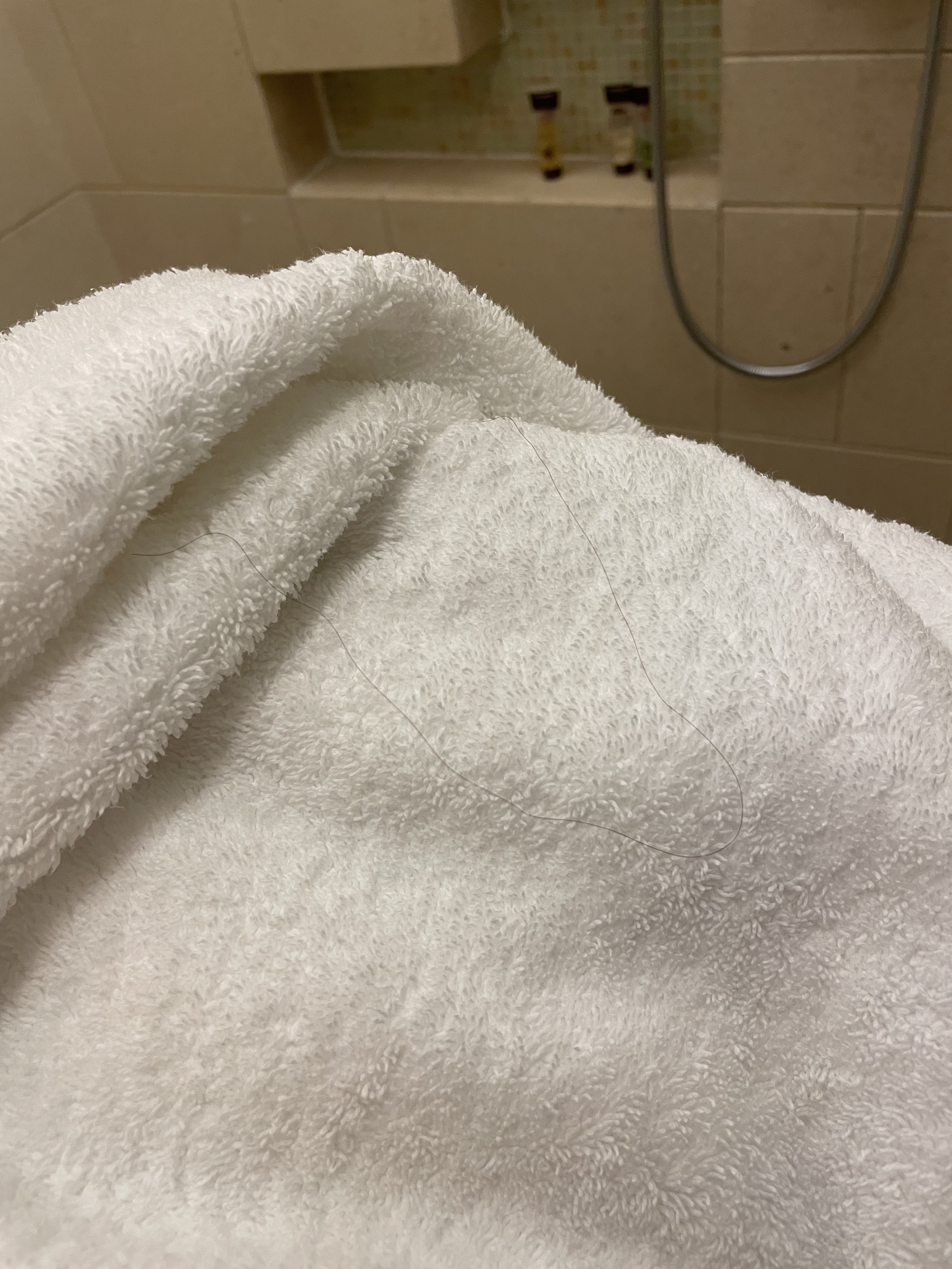 ൺ¡Ͱԡ׾Ůë