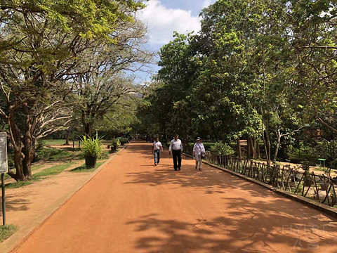 以前正常日子的飞行记录 一个人的斯里兰卡游 回程遇到最严安检 第一次搭乘**33L