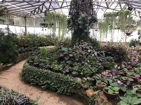 以前正常日子的飞行记录 一个人的斯里兰卡游 回程遇到最严安检 第一次搭乘**33L