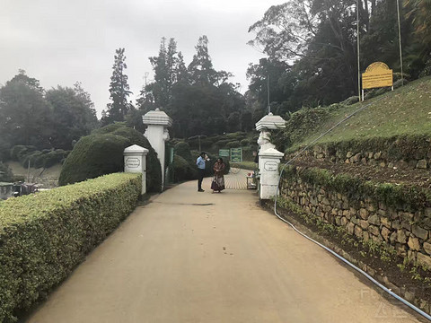 以前正常日子的飞行记录 一个人的斯里兰卡游 回程遇到最严安检 第一次搭乘**33L